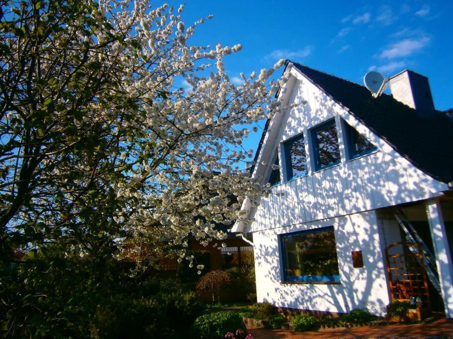 Ferienwohnung Hude Hude  외부 사진